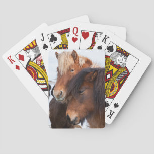 Jeu De Cartes Cheval islandais en hiver en Islande
