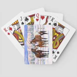 Jeu De Cartes Chevaux Appaloosa De Baie Brown En Neige