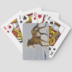 Jeu De Cartes Chevaux courant dans la neige