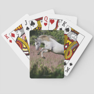 Jeu De Cartes Chevaux de fantasy : galop de printemps