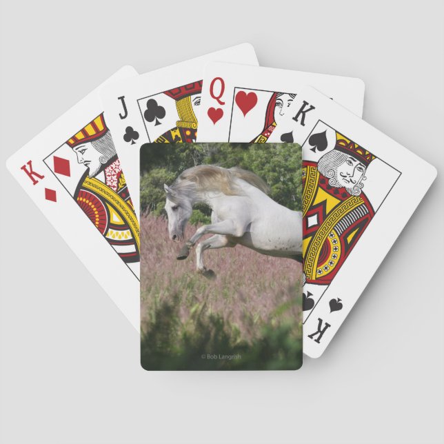 Jeu De Cartes Chevaux de fantasy : galop de printemps (dos)