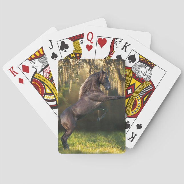 Jeu De Cartes Chevaux d'imaginaire : Prince de guerrier (dos)
