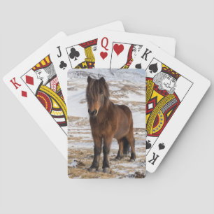 Jeu De Cartes Chevaux islandais en hiver