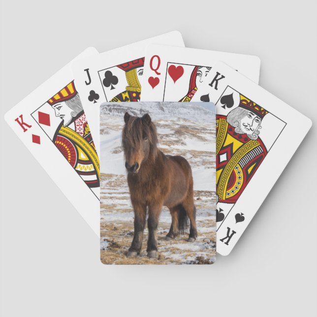 Jeu De Cartes Chevaux islandais en hiver (dos)
