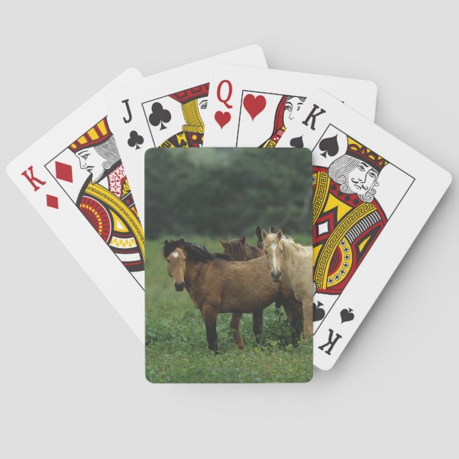Jeu De Cartes Chevaux Mustang Sauvages 4 (dos)