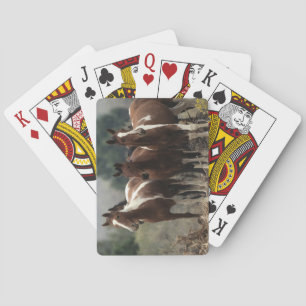 Jeu De Cartes Chevaux Mustang Sauvages 7