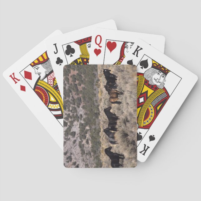 Jeu De Cartes Chevaux Mustang sauvages dans le désert 2 (dos)