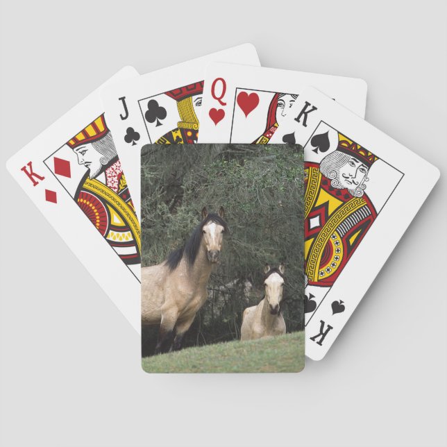 Jeu De Cartes Chevaux sauvages 6 de mustang (dos)