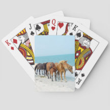 Chevaux sur la côte nationale de l'Assateague