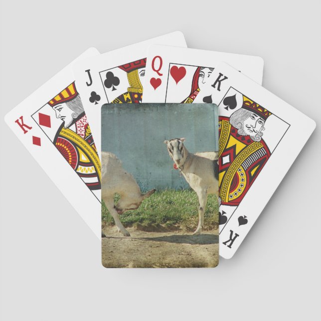 Jeu De Cartes Chèvres laitières (dos)