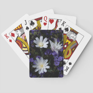 Jeu De Cartes Chicory et fleurs sauvages de Phacélie