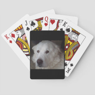 Jeu De Cartes Chien beau de Grands Pyrénées