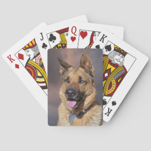 Jeu De Cartes Chien berger allemand Jouer des cartes