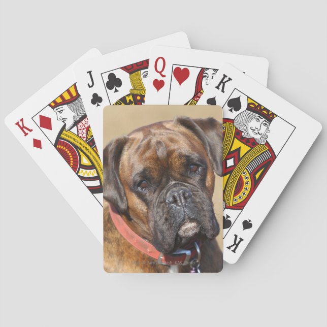 Jeu De Cartes Chien Brindle de boxeur (dos)