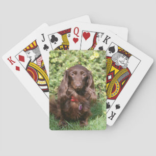 Jeu De Cartes Chien de chien de Brown