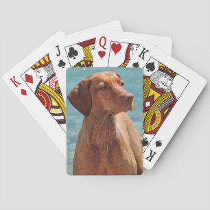 Jeu De Cartes Chien de Magyar Vizsla
