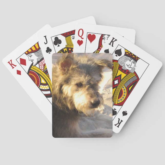 Jeu De Cartes Chien de plage thaïlandais (dos)