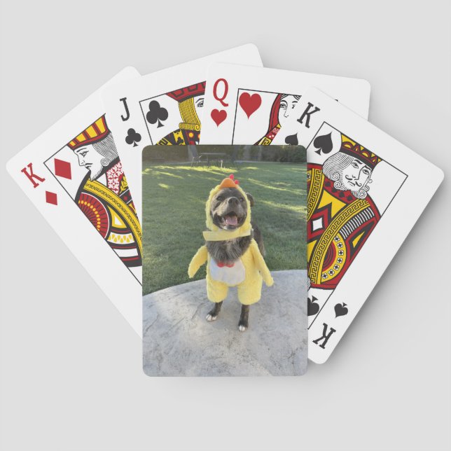 Jeu De Cartes chien de poulet (dos)