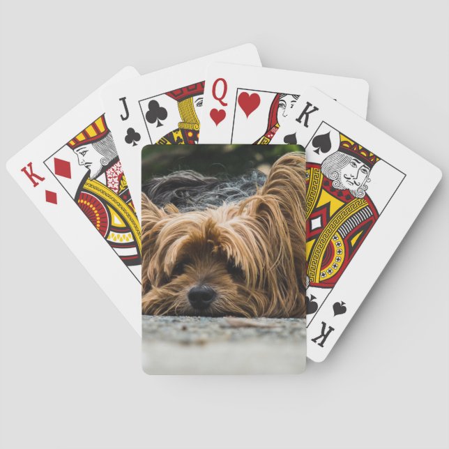 Jeu De Cartes Chien débraillé couché (dos)