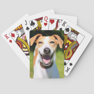 Jeu De Cartes Chien riant des images de Getty