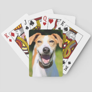 Jeu De Cartes Chien riant des images de Getty