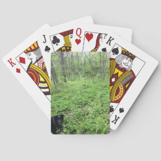 Jeu De Cartes Chiens dans les bois