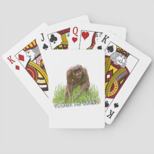Jeu De Cartes Chimie Sans Cheveux Dur En Acier