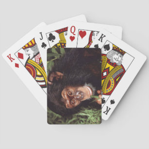 Jeu De Cartes Chimpansee