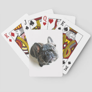 Jeu De Cartes Chiot de France