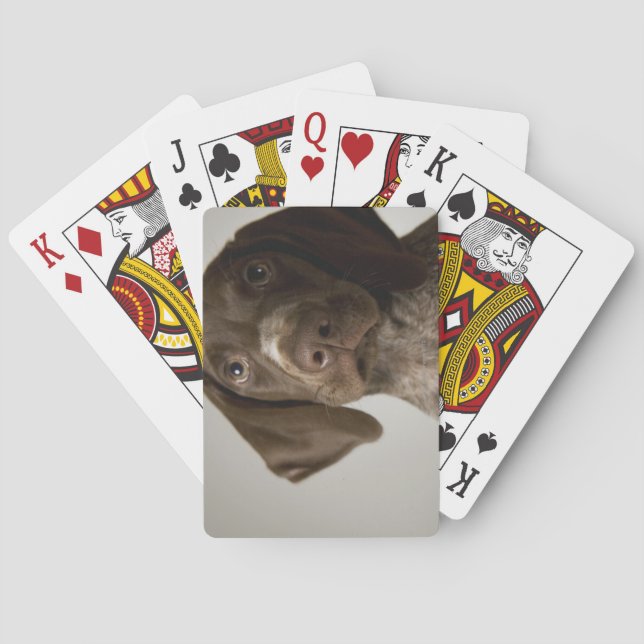 Jeu De Cartes Chiot de poing germanique à courte aile (dos)