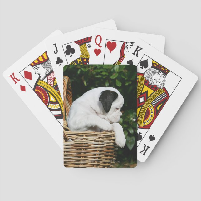 Jeu De Cartes Chiots de boxeur dans le panier (dos)