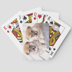 Jeu De Cartes Chiots de Shiba Inu dans le baquet en aluminium