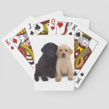 chiots du labrador jouant aux cartes
