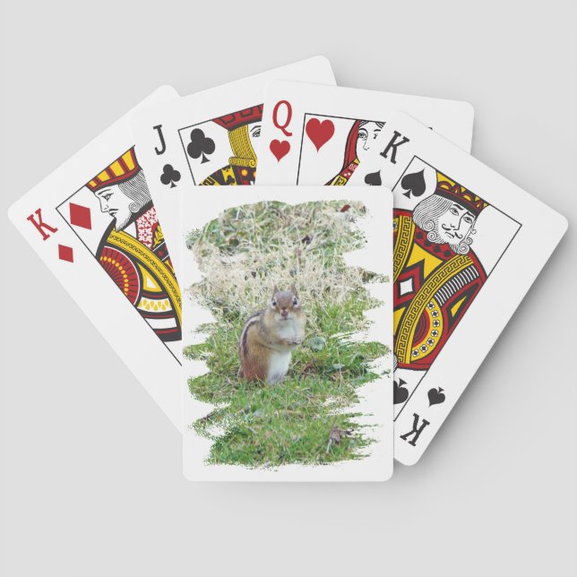 Jeu De Cartes Chipmunk oriental (dos)