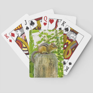 Jeu De Cartes Chipmunk sur un poteau de clôture