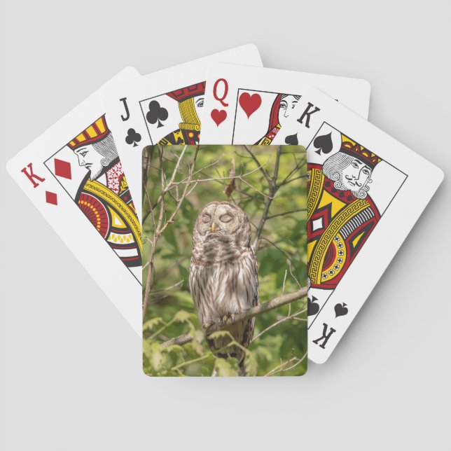 Jeu De Cartes Chouette dorée (dos)