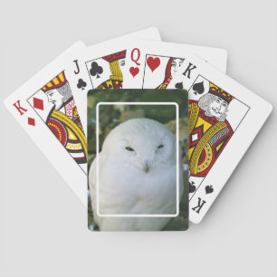 Jeu De Cartes Chouette neigeuse Jouer aux cartes