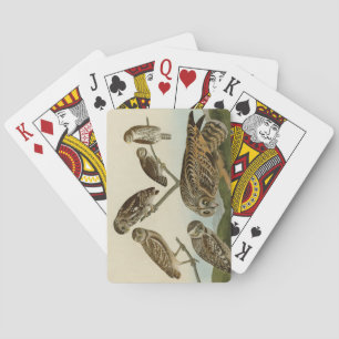 Jeu De Cartes Chouettes brulantes - d'Audubon's Birds of America