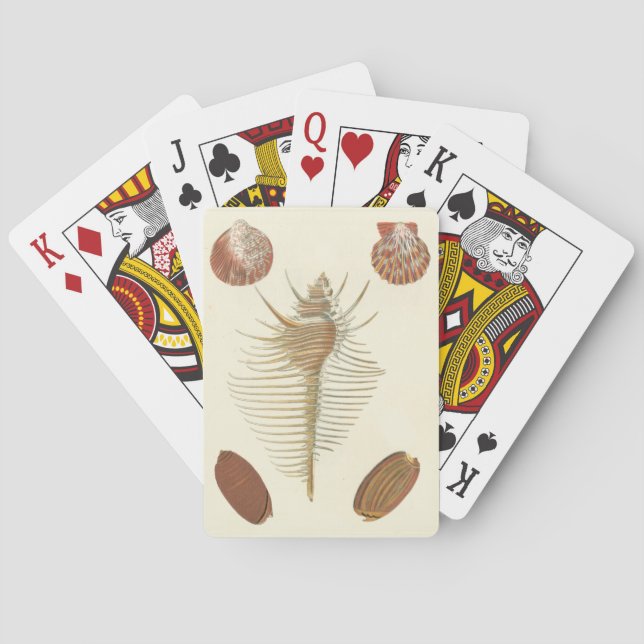 Jeu De Cartes Cinq d'un coquillage (dos)