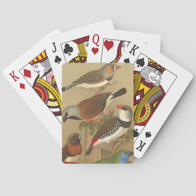 Jeu De Cartes Cinq oiseaux de compagnie colorés perchés sur une  (dos)