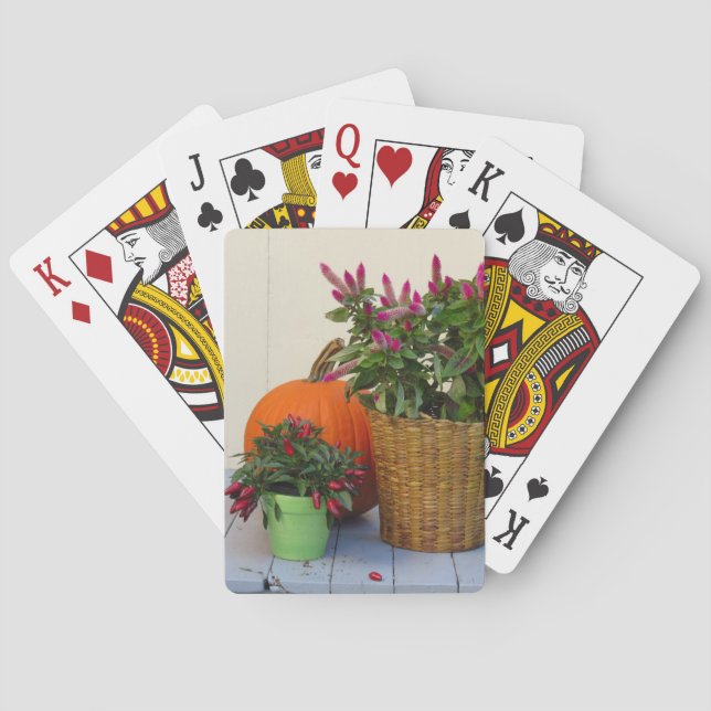 Jeu De Cartes Citrouille et Plante de poivre - Martha's Vineyard (dos)