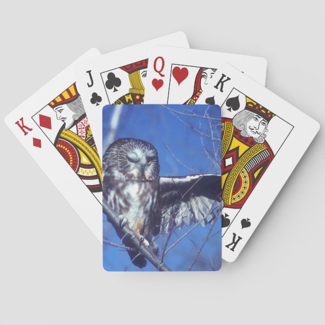 Jeu De Cartes Cligner de l'oeil le hibou (dos)