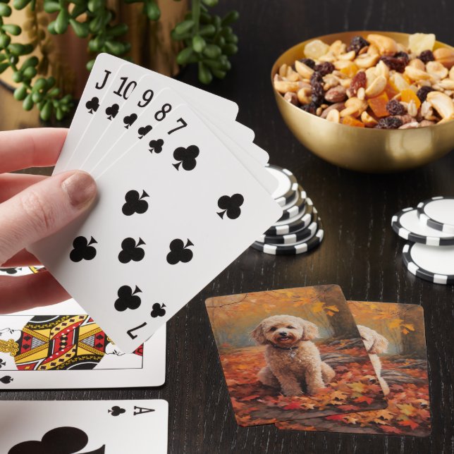 Jeu De Cartes Cockapou dans les feuilles d'automne automne autom (In Situ)