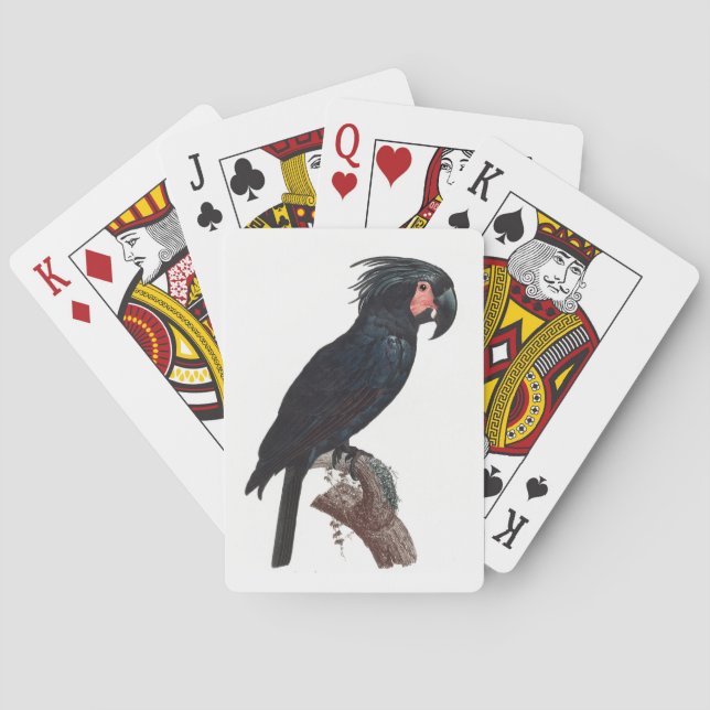 Jeu De Cartes Cockatoo de palme, perroquet de probosciger (dos)