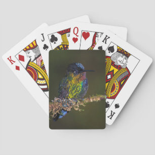 Jeu De Cartes Colibri