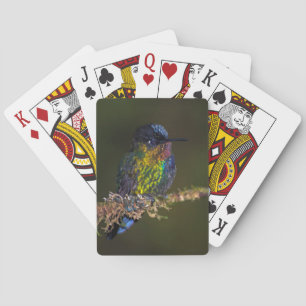 Jeu De Cartes Colibri