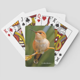 Jeu De Cartes Colibri roux mignon perché sur une fleur