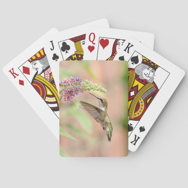 Jeu De Cartes Colibri sur un plante à fleurs (dos)
