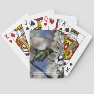 Jeu De Cartes Colibri Throated rouge femelle