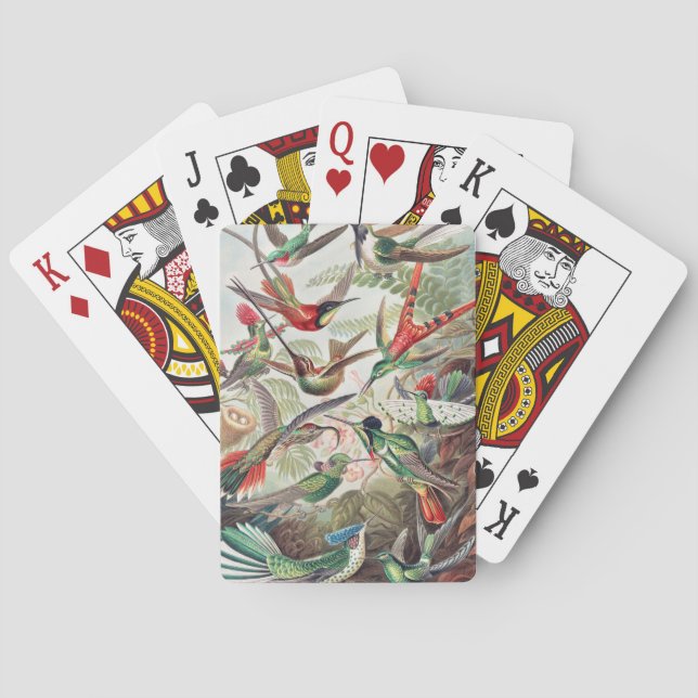 Jeu De Cartes Colibri, Trochilidae Kolibris par Ernst Haeckel (dos)